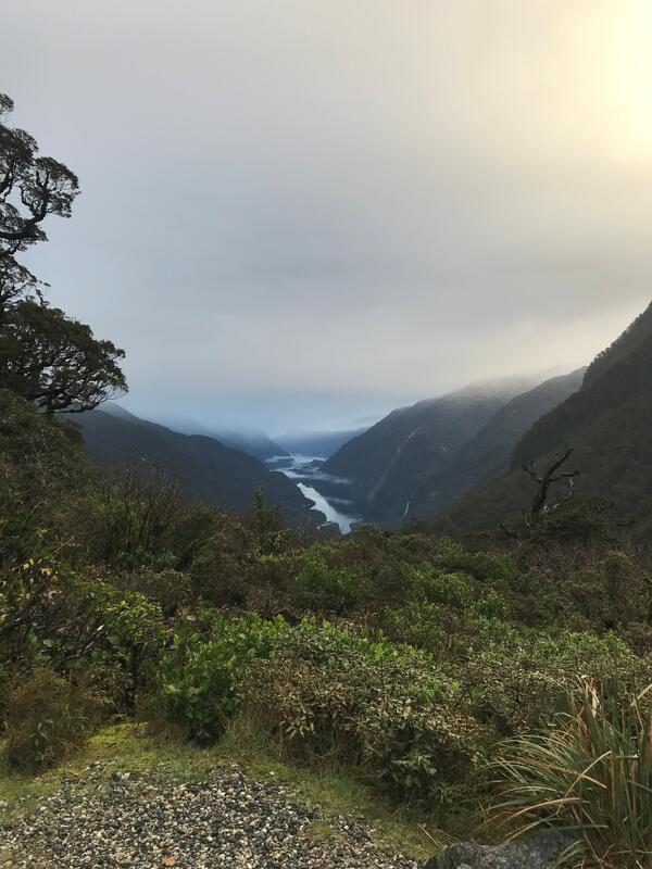 Discover Doubtful Sound 